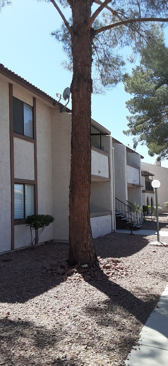 5243 Corinne Ct in Las Vegas, NV - Building Photo - Building Photo