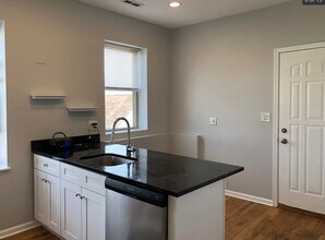 3019 W George St in Chicago, IL - Building Photo - Building Photo