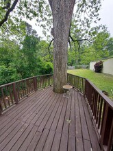 3805 Lamar St in Columbia, SC - Building Photo - Building Photo