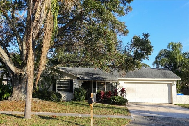 1810 Copper Kettle Ln in Dunedin, FL - Building Photo - Building Photo