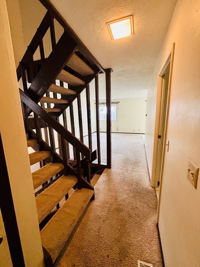 13205 Carpenter St in Papillion, NE - Building Photo - Building Photo