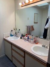 319 Terri Dr in Loveland, CO - Building Photo - Building Photo