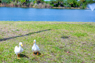 Island Vista Estates in North Fort Myers, FL - Foto de edificio - Building Photo