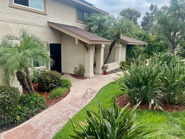 property at 8019 Calle Fanita