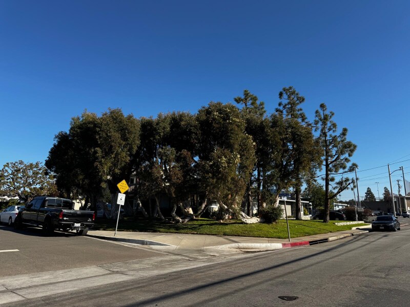 1800 Viola Pl in Costa Mesa, CA - Building Photo