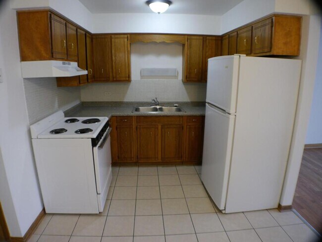 11945 S Hamlin Ave in Alsip, IL - Building Photo - Building Photo
