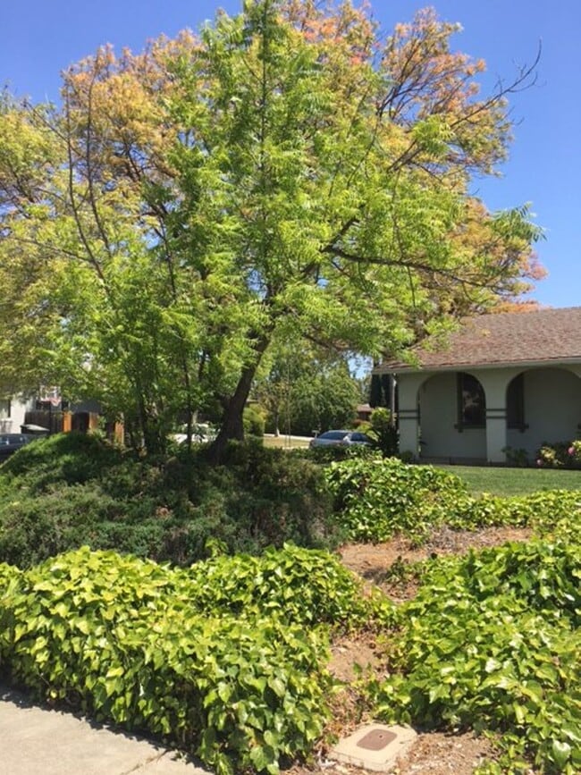 1230 Van Dyck Dr in Sunnyvale, CA - Building Photo - Building Photo
