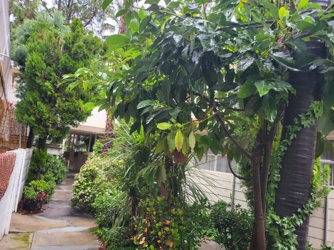 7024 Hawthorn Ave-Unit -107 in Los Angeles, CA - Building Photo - Building Photo