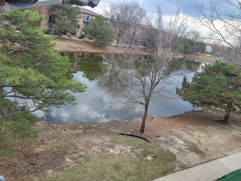 1525 Norway Ln in Palatine, IL - Foto de edificio
