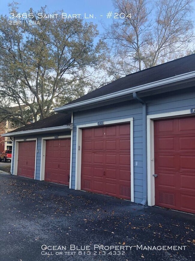 3466 St Bart Ln in Tampa, FL - Building Photo - Building Photo