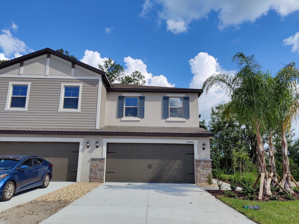23240 Willow Glen Way in Lutz, FL - Building Photo