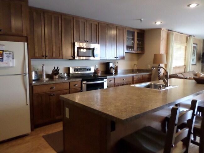 228 Marina Dr in Dillon, CO - Building Photo - Building Photo