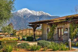 The Terrace Apartments in Rancho Cucamonga, CA - Building Photo - Building Photo