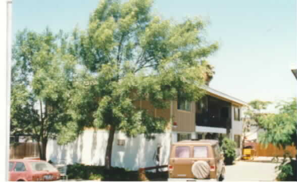 5077 Clayton Rd in Concord, CA - Foto de edificio - Building Photo