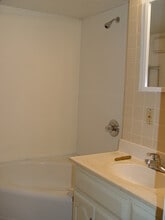 1134 2nd Street in St. Paul Park, MN - Building Photo - Building Photo