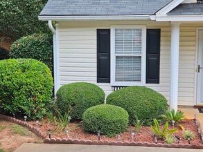 126 Fair Haven Way in Chapin, SC - Building Photo - Building Photo