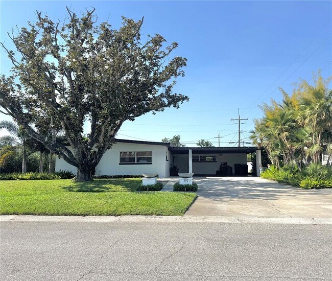 property at 319 Halsey St