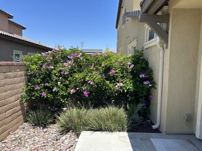 24438 Montgomery Way in Menifee, CA - Building Photo - Building Photo