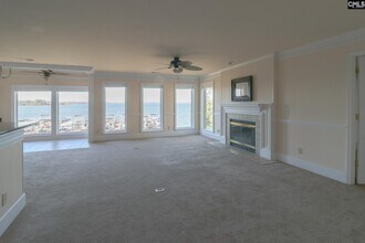 1441 Old Chapin Rd in Lexington, SC - Building Photo - Building Photo