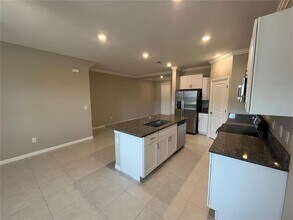 31864 Blue Passing Loop in Wesley Chapel, FL - Building Photo - Building Photo