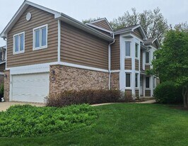 110 Woodstone Dr in Buffalo Grove, IL - Building Photo