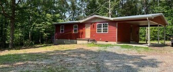 282 Co Rd 22 in Calhoun, TN - Building Photo