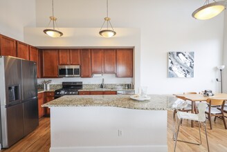 1699 N Downing St in Denver, CO - Building Photo - Building Photo