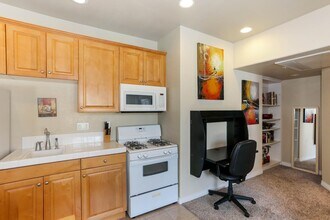 3170 Levante St in Carlsbad, CA - Building Photo - Building Photo