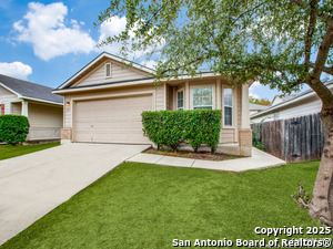 3435 Calico Cor in San Antonio, TX - Building Photo