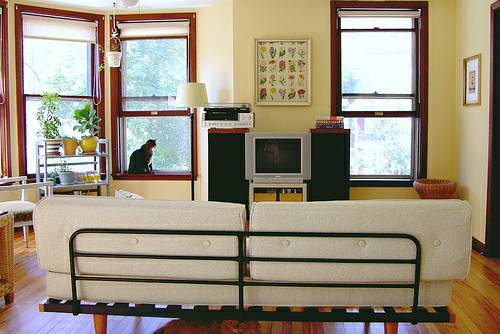 849 Prospect Pl in Madison, WI - Foto de edificio - Building Photo