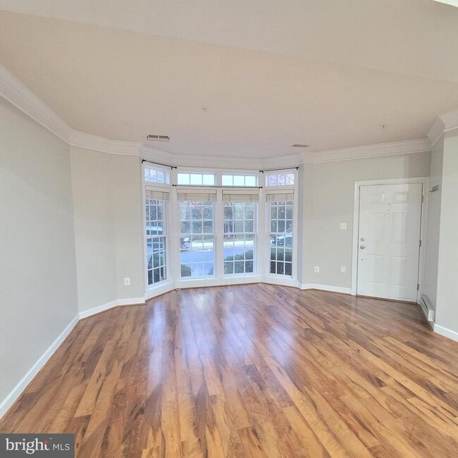 property at 3681 Spring Hollow Ln