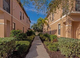 4134 Via Piedra Cir in Sarasota, FL - Building Photo - Building Photo