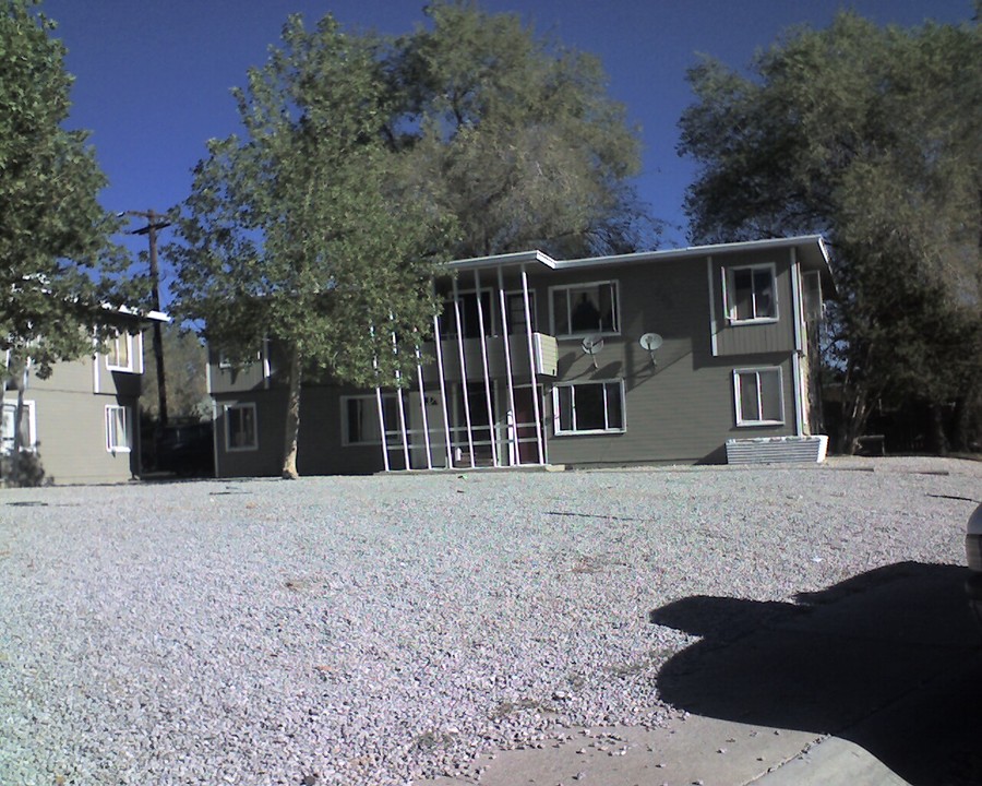 695 Denslowe Dr in Reno, NV - Building Photo