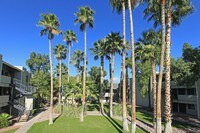 GORGEOUS LANDSCAPING - Deerfield Village on Fort Lowell Apartamentos in Tucson, Arizona