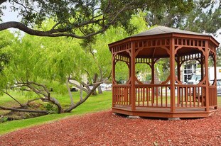 Silver Creek in San Antonio, TX - Building Photo