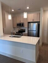 The Laurel at Blackhawk 55+ in Houston, TX - Building Photo