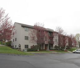 Nutgrove in Albany, NY - Foto de edificio - Building Photo