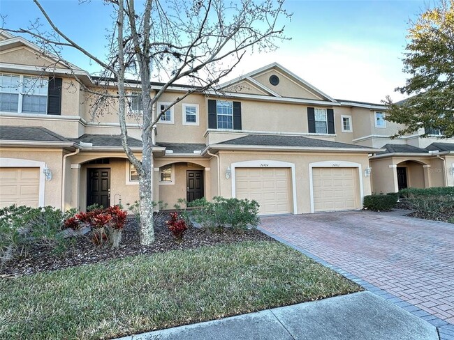 26904 Juniper Bay Dr in Wesley Chapel, FL - Building Photo - Building Photo