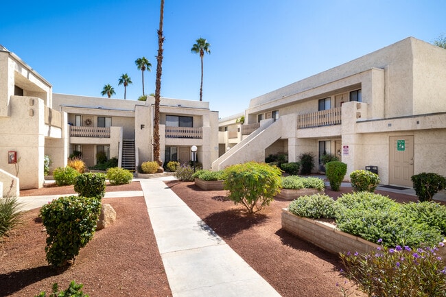 Palm Canyon Terrace