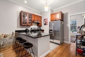 205 W Springfield St in Boston, MA - Building Photo - Building Photo