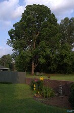 1406 E Olive Dr SE in Huntsville, AL - Foto de edificio - Building Photo