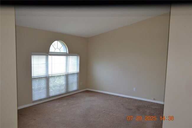 10131 Cedar Dune Dr in Tampa, FL - Building Photo - Building Photo