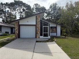 100 Chinaberry Cir in Homosassa, FL - Building Photo