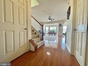 23110 Mistflower Dr in Clarksburg, MD - Building Photo - Building Photo