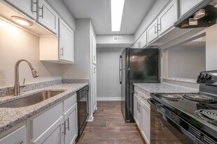 The Life at Wood Springs