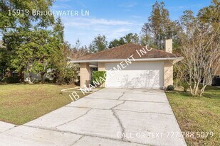 15913 Bridgewater Ln in Tampa, FL - Building Photo
