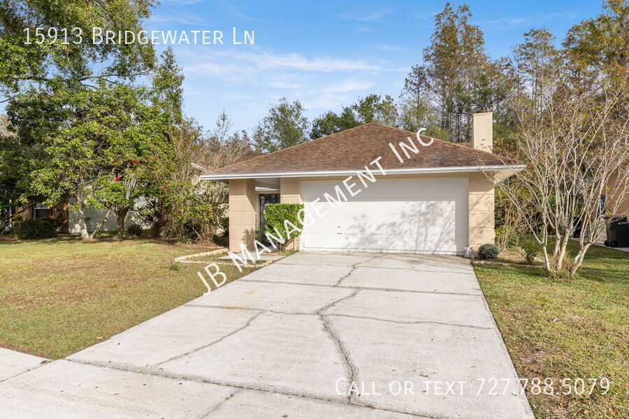 15913 Bridgewater Ln in Tampa, FL - Building Photo