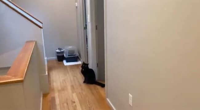 property at 53 Glenville Ave