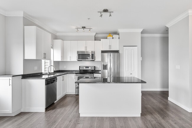 11580 223 St in Maple Ridge, BC - Building Photo - Building Photo