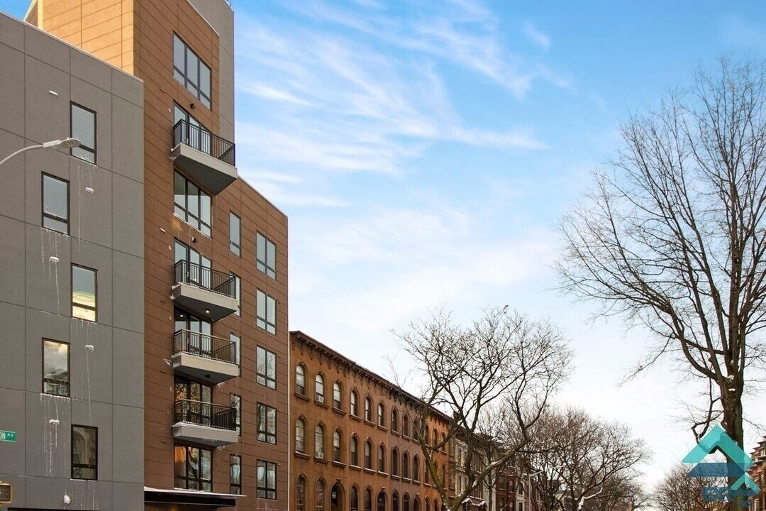 596 Washington Ave in Brooklyn, NY - Foto de edificio